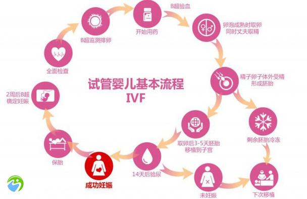 泰国试管婴儿价格高有窍门吗