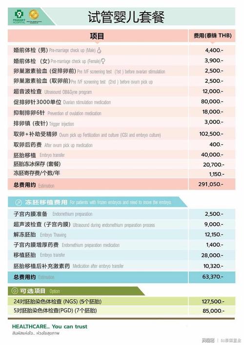 在泰国一次性做一个试管要多少钱